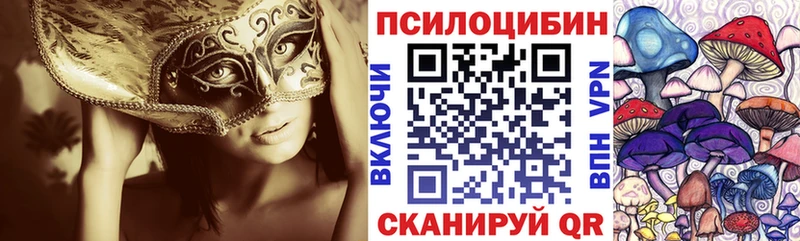 Купить  Ильский  Псилоцибиновые грибы GOLDEN TEACHER 