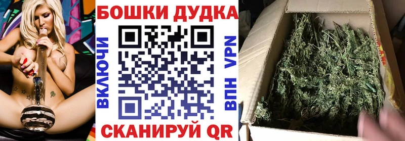 Конопля семена  Купить  Ильский 